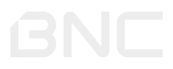 BNC_logotipo_BNC_logo_branco